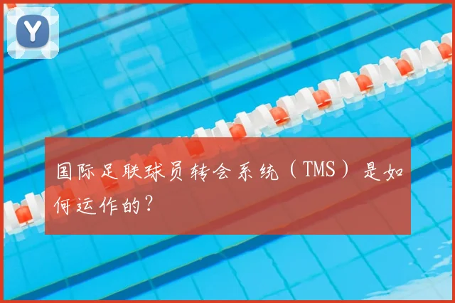 国际足联球员转会系统（TMS）是如何运作的？