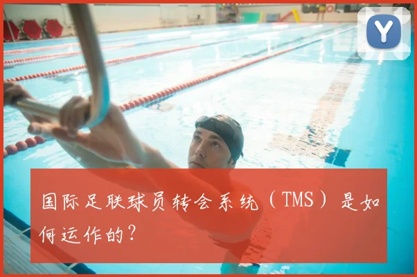 国际足联球员转会系统(TMS)是如何运作的?