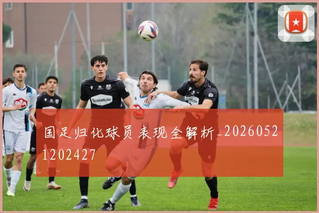 国足归化球员表现全解析_20260521202427
